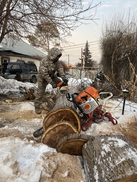 15.000 тенге. Спил деревьев,аварийных деревьев