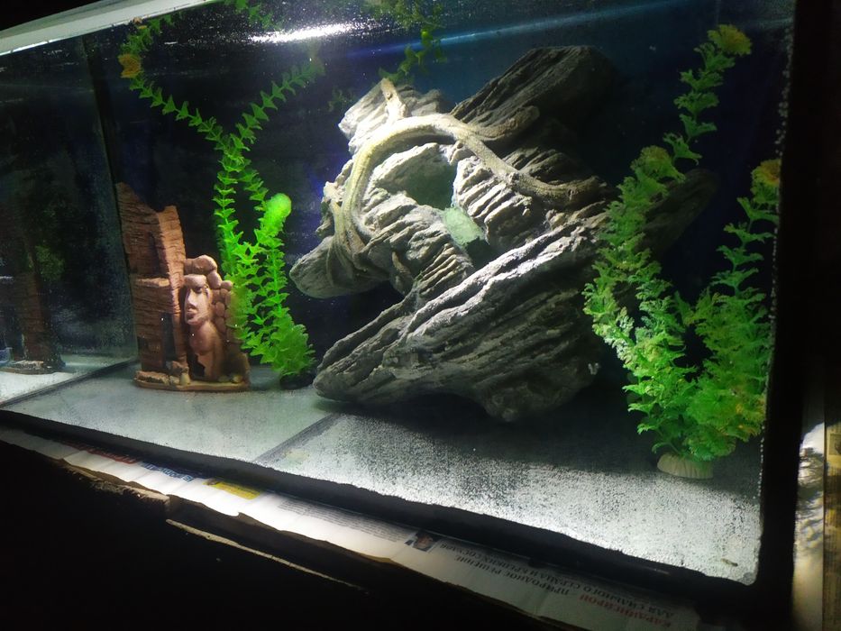 Декор для аквариума. Недорогие аквариумы.