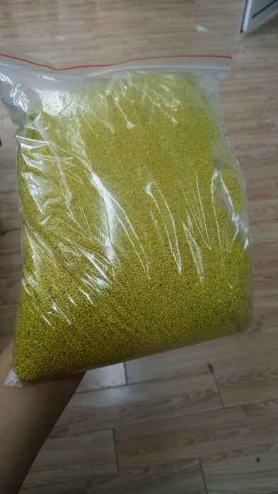 Жоңышқа ұрық семена люцерна