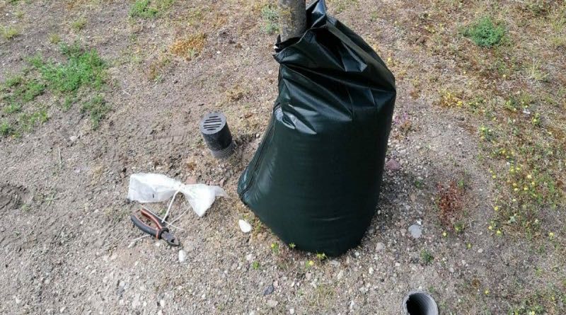 Мешок для полива деревьев