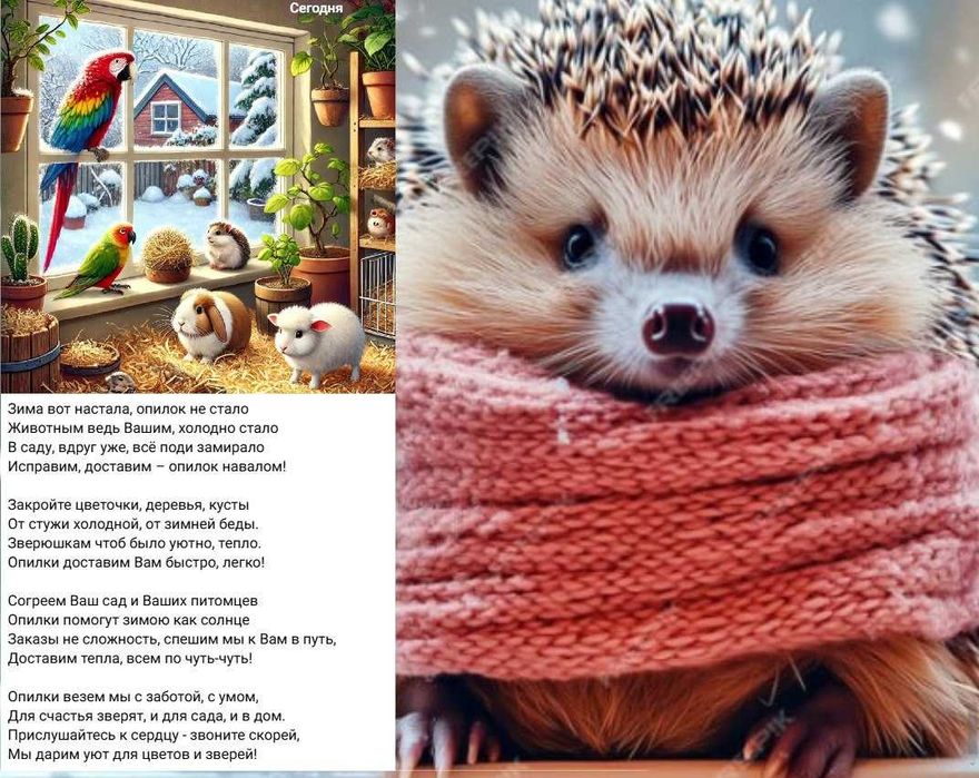 ЭКО Опилки апилка опилка опилки для тропинки, огорода, сад, Доставка