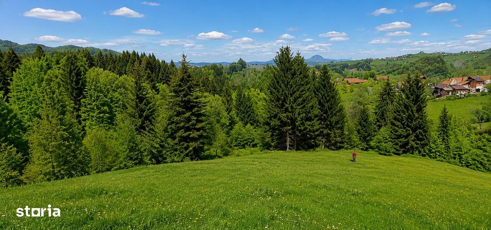 Bran Mountain Retreat - doar 3 case superbe la munte.