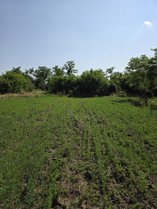 Teren intravilan BRANESTI PASAREA