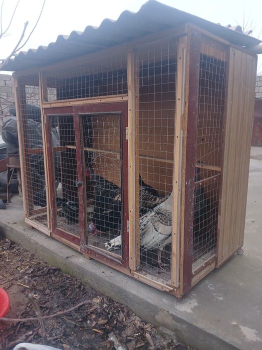 Tovuq kattak sotiladi