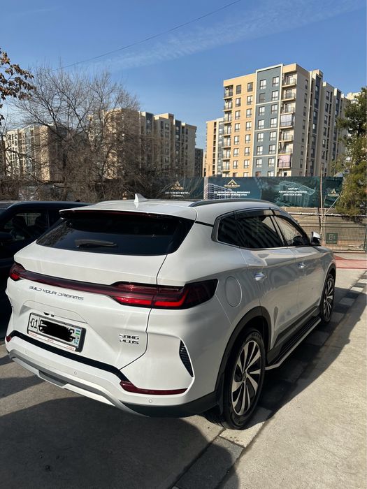 Byd chempion gibrid 2024 yil 150 tali