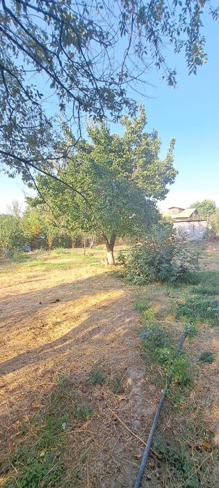 Дача Навбахор 6-соток земля для строительства Паркент Янгибазар
