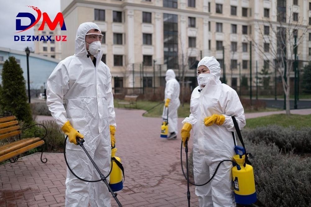 Профессиональная Дезинфекция Dezmax