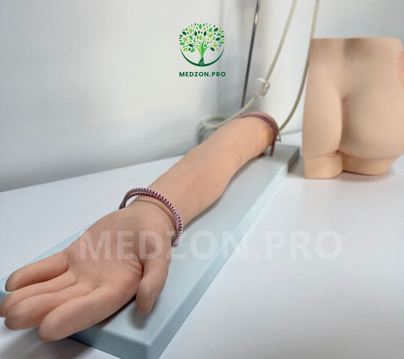 Анатомические Муляжи для инъекци