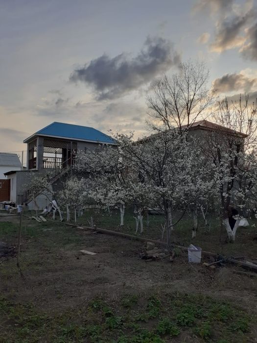 Дача в районе Черной речки