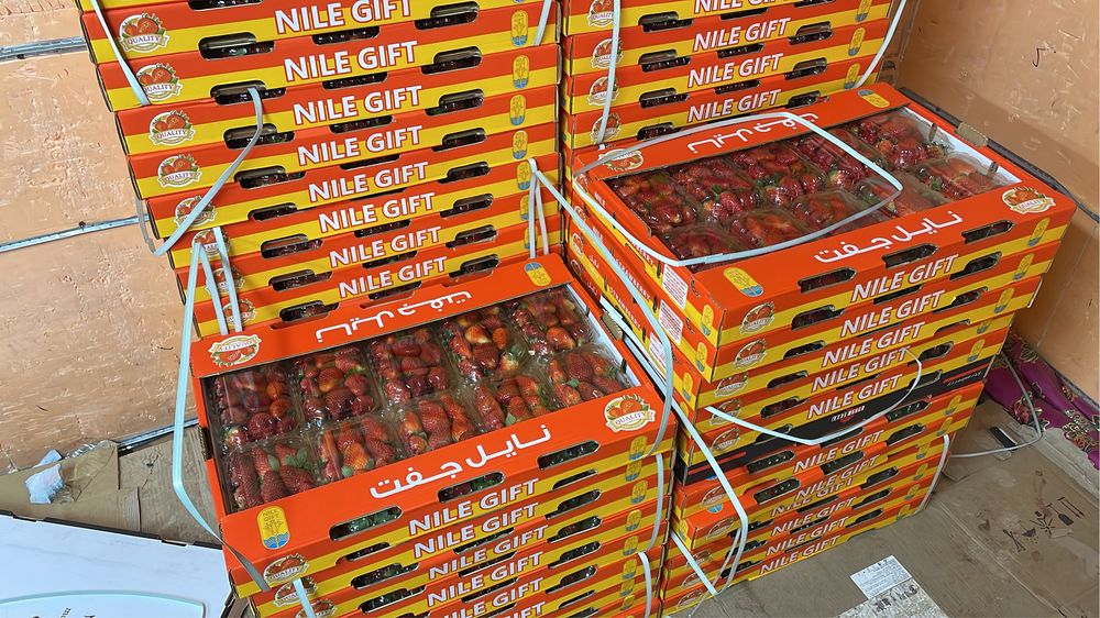 Клубника свежая Египет