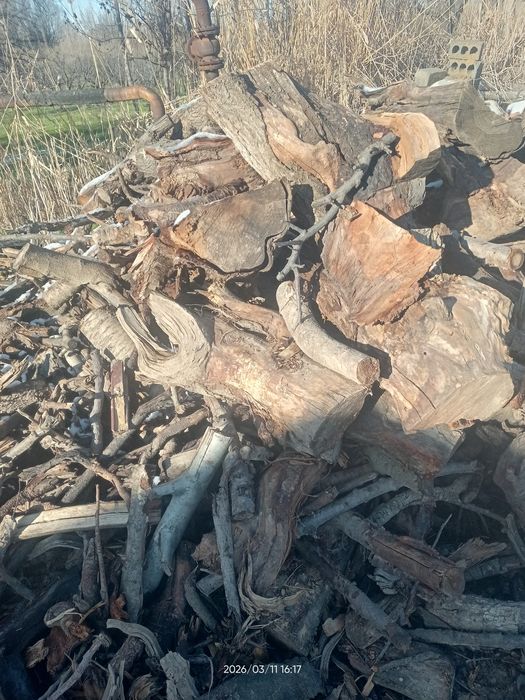 Quruq oʻtin sotiladi mevali daraxt oʻtini