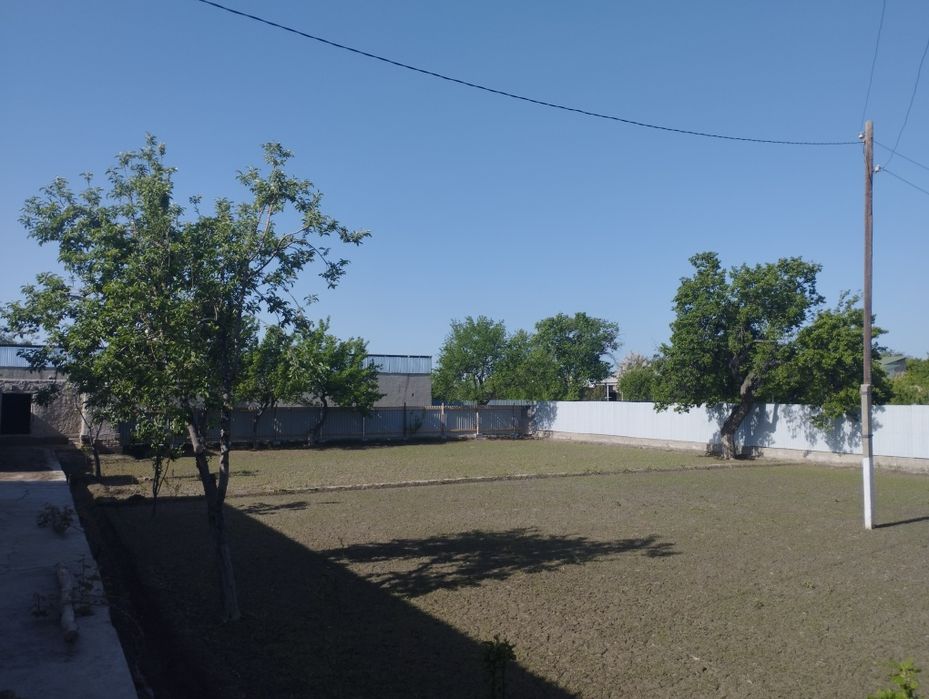 Hovli sotiladi 15 sotix