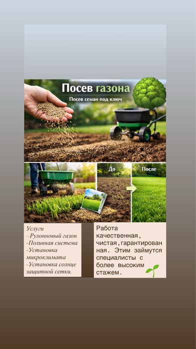 Gazon-посевной рулонновый