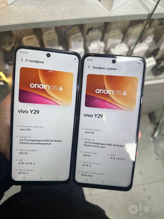 Vivo y 29 madelimiz