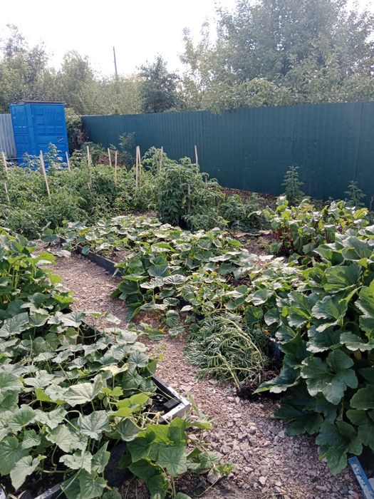 Продам дачу Общ Мотор