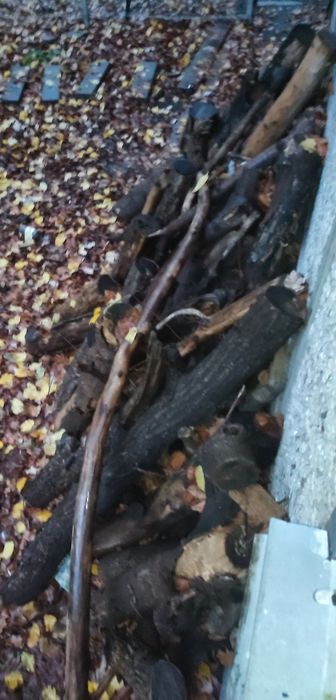 Дрова карагач 3.5 куба