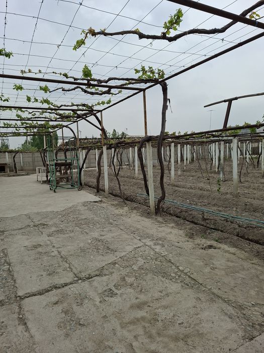 Ёрмазорда 3 та 9 сотихлик участка. Катедж куриб сотувчилар учун аъло и