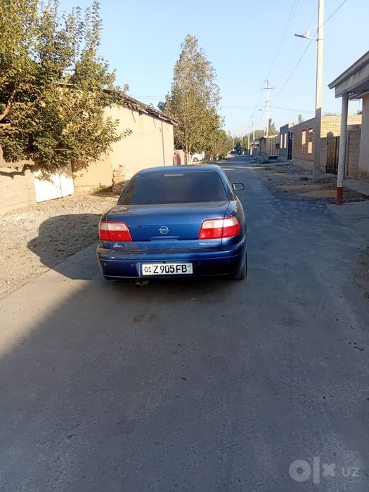 Balonlar yangi oldi oʼng kriloda kichik pitno bor