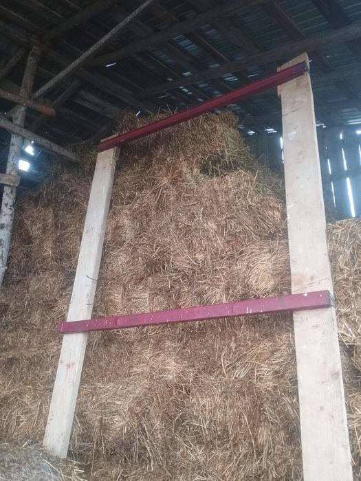 Baloti și ovăs de vanzare