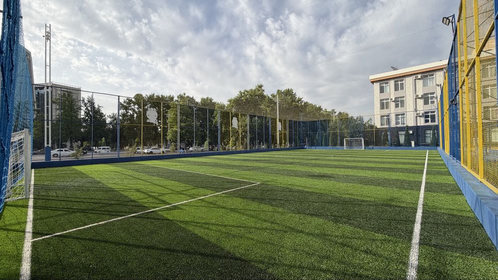 Stadion,Polya arenda