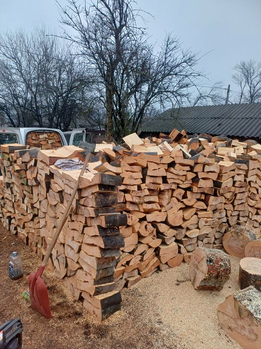 Vând lemn foc..fag+ diverse tari