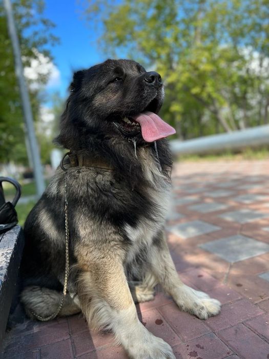 Вязка. Кабель. Хорошая родословная