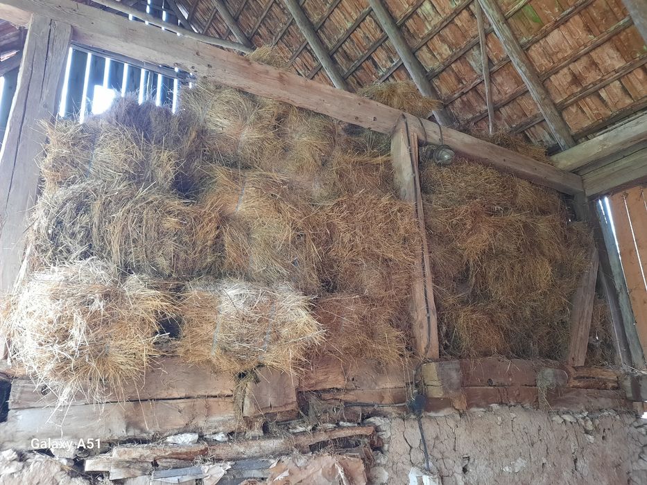 Vând baloți de fàn.