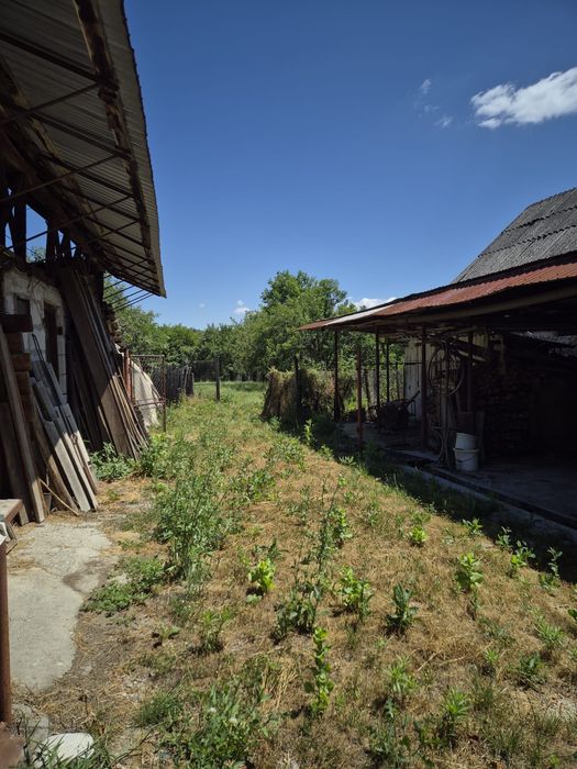 Casa batraneasca, la tara, 3646 mp, Jud. Vâlcea