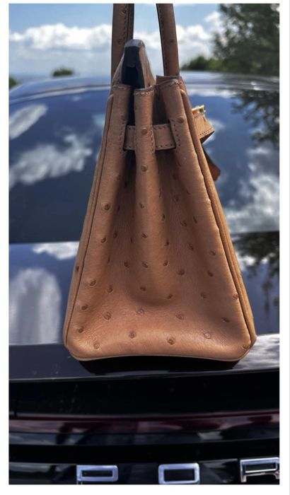 Hermes Birkin 25 Ostrich