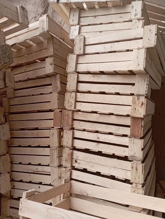 Meva va koʻchatlar uchun yashiklar