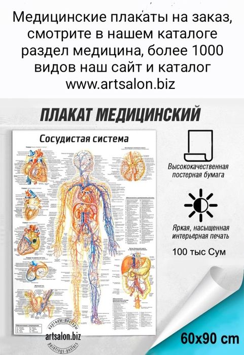 Медицинские плакаты на заказ, каталог более 1.000 видов