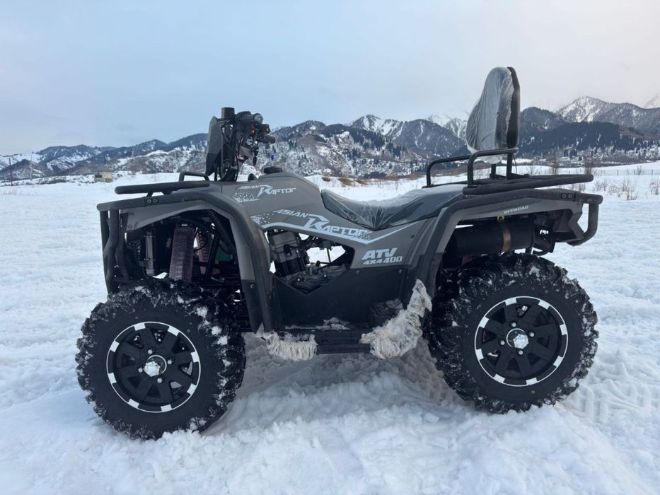 Азиан Раптор 400 куб