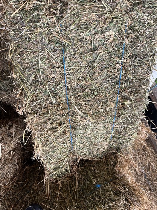 Vând baloti lucerna de calitate