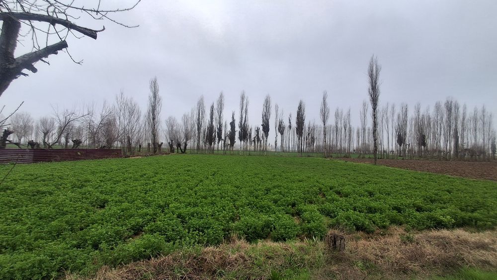 Срочно продаётся