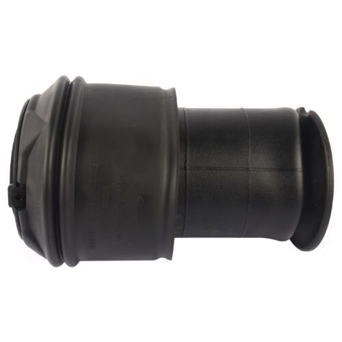 Perna aer spate Citroen C4 Picasso