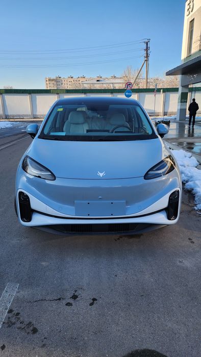 Arcfox koala s baic pro