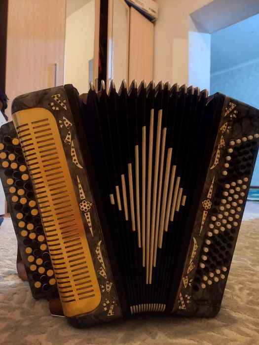 Баян (Беларусь) Таза Сатылады