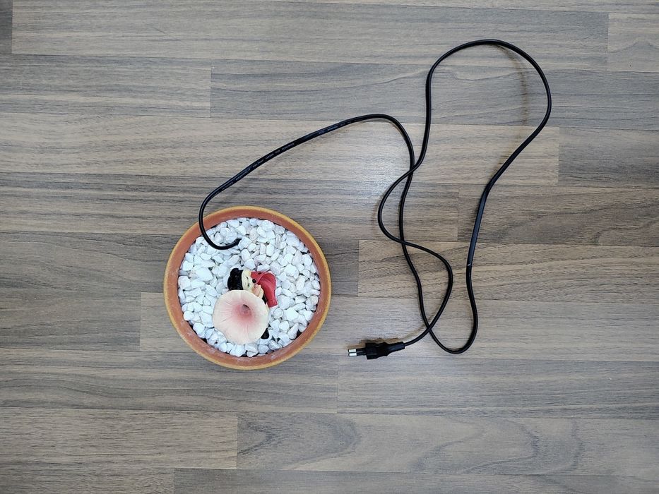 Fântână decorativă de interior cu buburuză