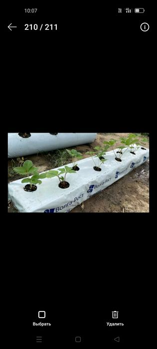 Минеральные маты для клубники