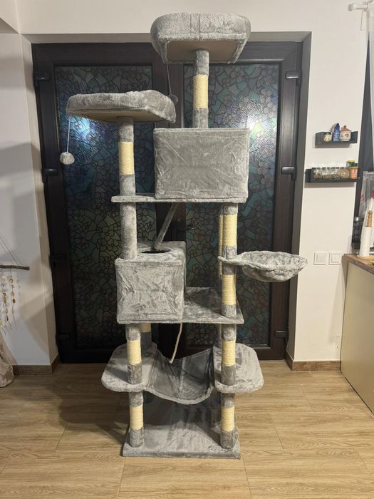 Ansamblu de joaca pentru pisici, 164  cm