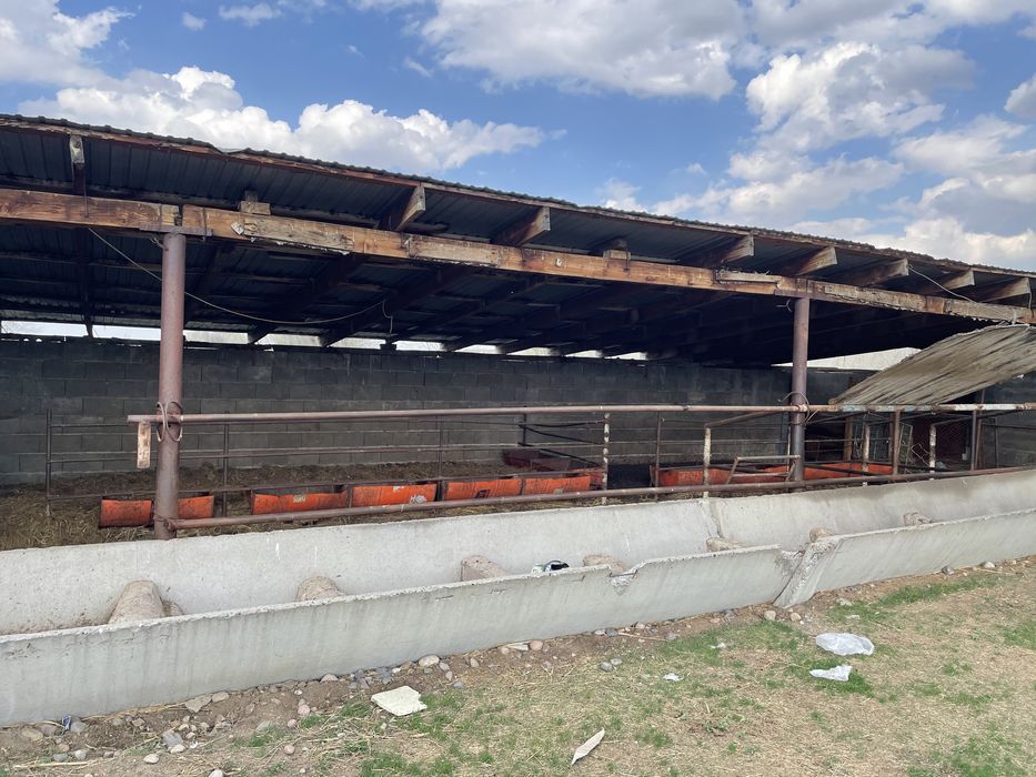 Продам фазенду.