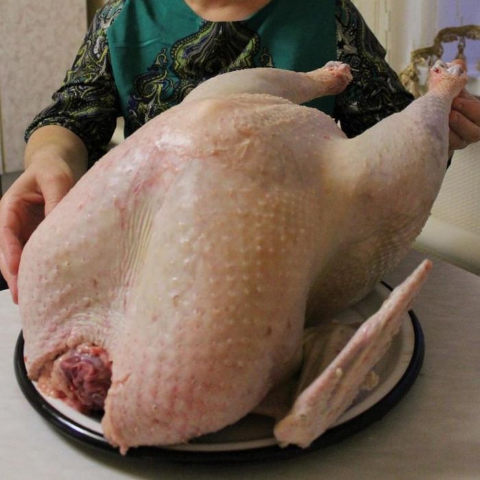 Тушка индейки (индюк/мясо),(живой/порезанный)
