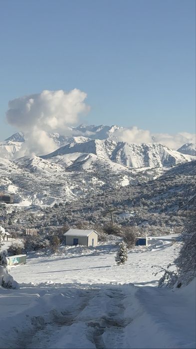 Dacha Amirsoy Hills 20A