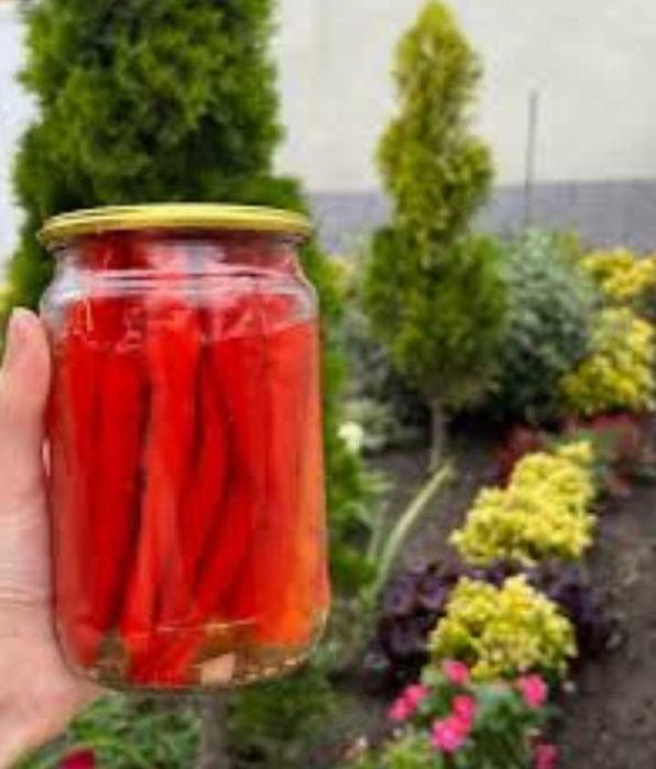 Семена сладкого перца паприки.