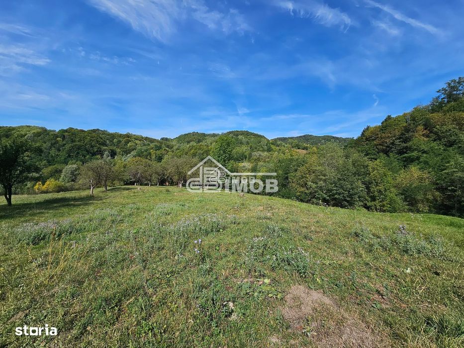 Teren 10.215mp langa padure | 4000 mp intravilan | Vulcana de Sus