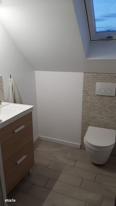 2 case pe curte / posibila investitie