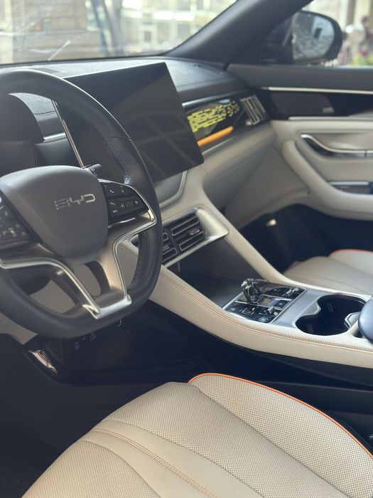 Byd champion full 2024yil