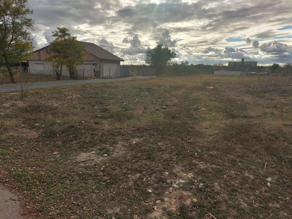 teren intravilan , Ciocârlia