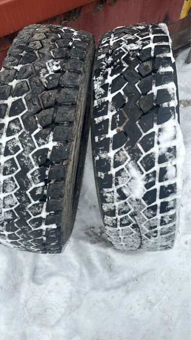 Шины 19,5 дюмовые