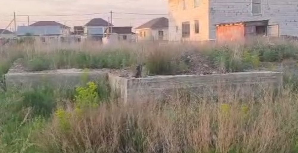 Продам участок с фундаментом ОБСЕ с Талапкер.